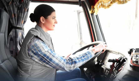 transferfahrer d de führerschein bus busfahrer ausbildung führerschein fahrschule